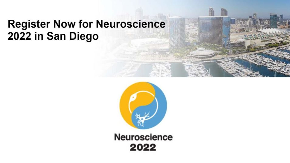 2022 11 NL DFG Neuroscience