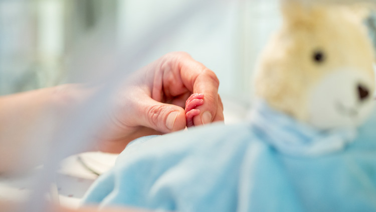 newborn holding adult hand at hospital