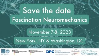 Save the Date "Fascination Neuromechanics"