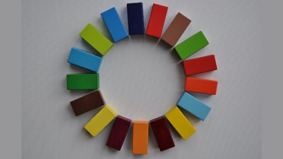 Colorful blocks in circle, representing the SDG logo